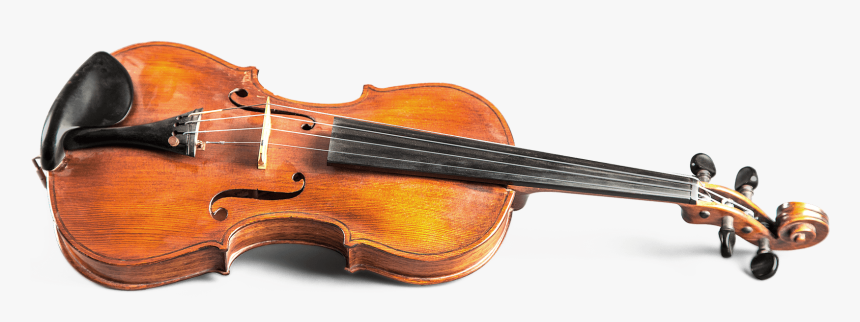 Transparent Violin Bow Clipart - Viola, HD Png Download, Free Download