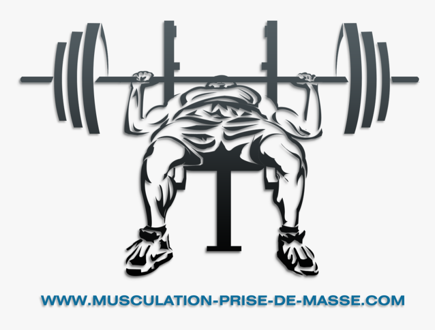 19 Dumbbell Banner Free Download Bench Press Bar Huge - Bench Press Clipart, HD Png Download, Free Download