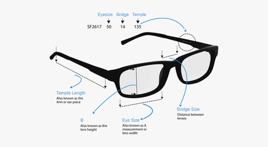 Glasses, HD Png Download, Free Download