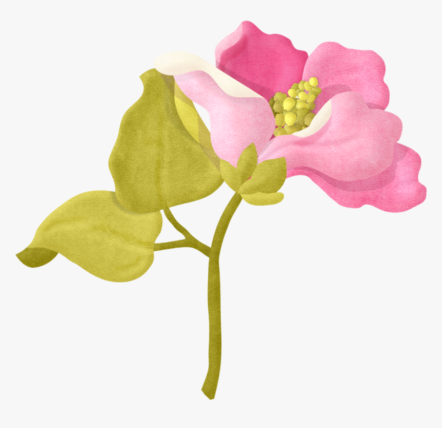 Bougainvillea Drawing Flower Transparent Png Clipart - Album From Laughter To Memories, Png Download, Free Download