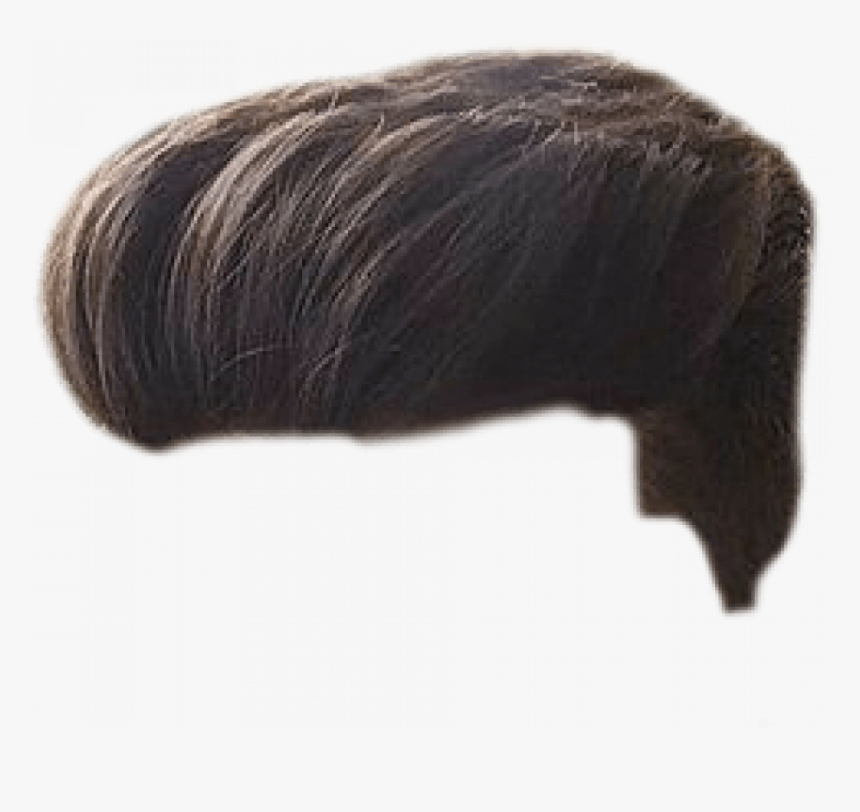 Hair Wig Png For Men, Transparent Png, Free Download