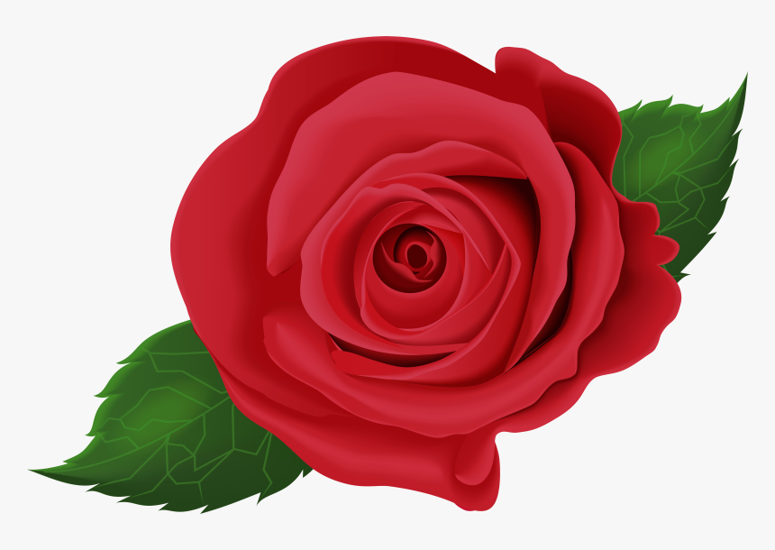Rose Flower Leaf Png Clipart , Png Download - Rose With Leaves Png, Transparent Png, Free Download