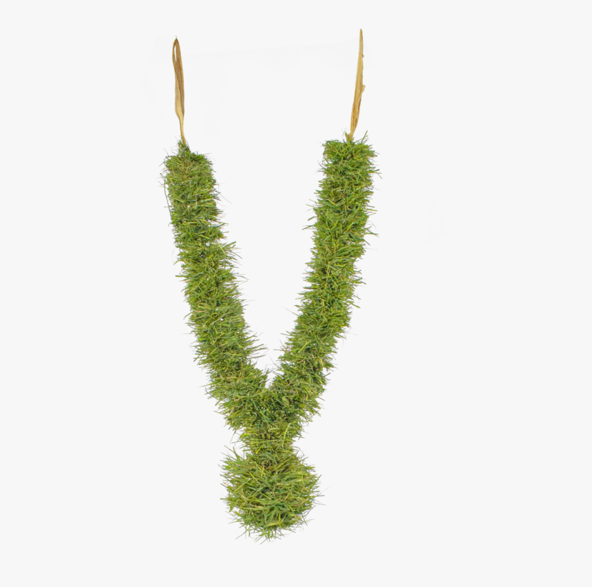 Earrings, HD Png Download, Free Download