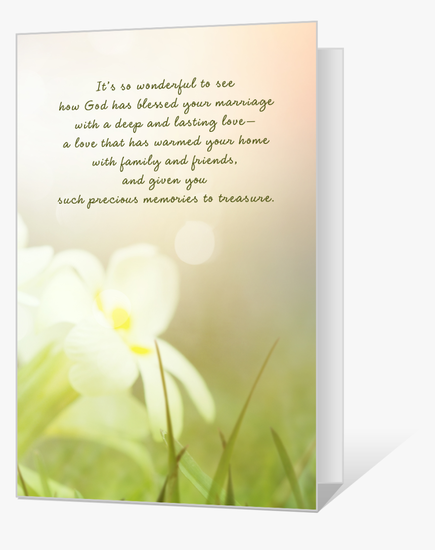 A Blessed Marriage - Moth Orchid, HD Png Download, Free Download
