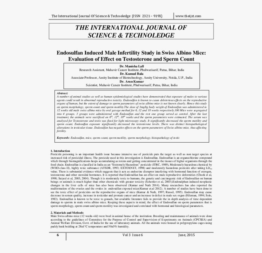Document, HD Png Download, Free Download
