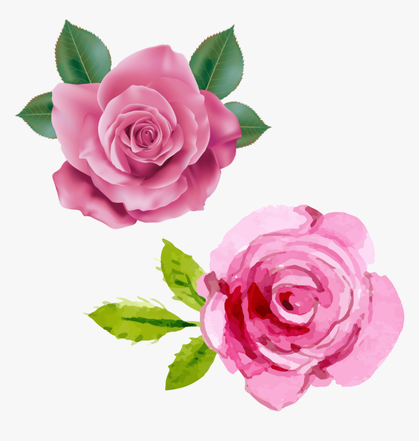 Pink Rose Transparent Png Clipart, Png Download, Free Download