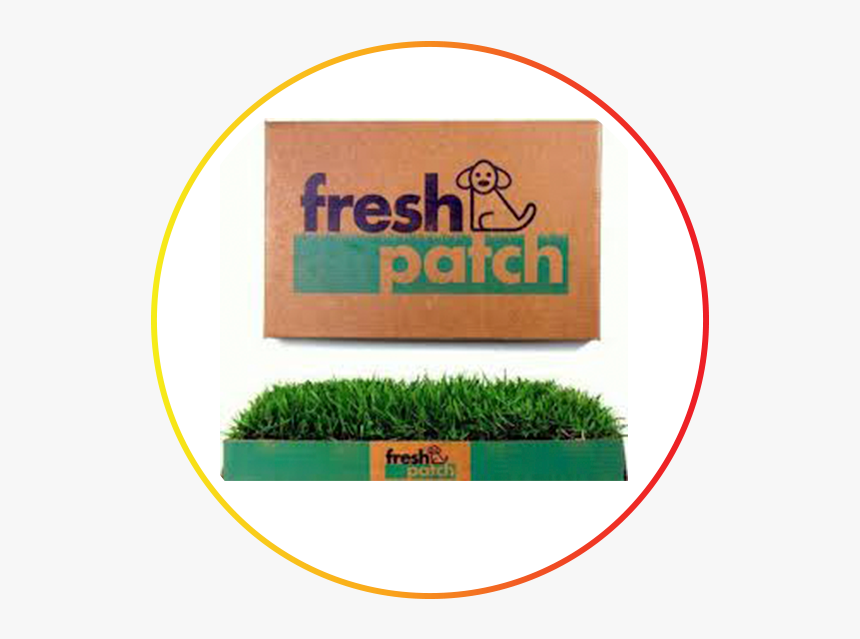 Grass Patch Png, Transparent Png, Free Download