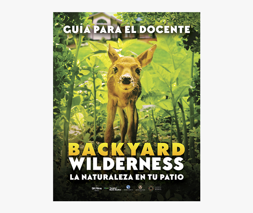 Backyard Wilderness California Science Center, HD Png Download, Free Download