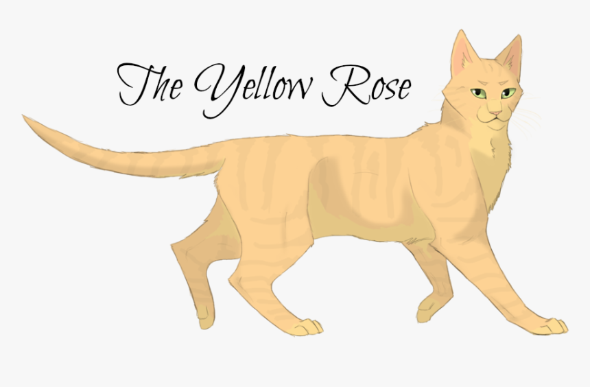 Warrior Cats Sandstorm , Png Download - Warrior Cats Sandstorm, Transparent Png, Free Download