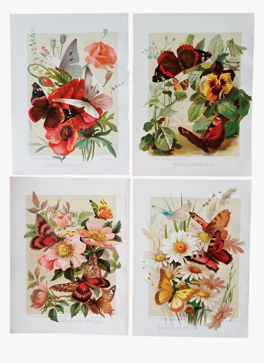 Bouquet, HD Png Download, Free Download