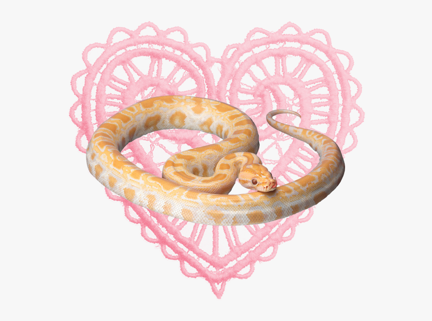 White Lace Heart Png, Transparent Png, Free Download