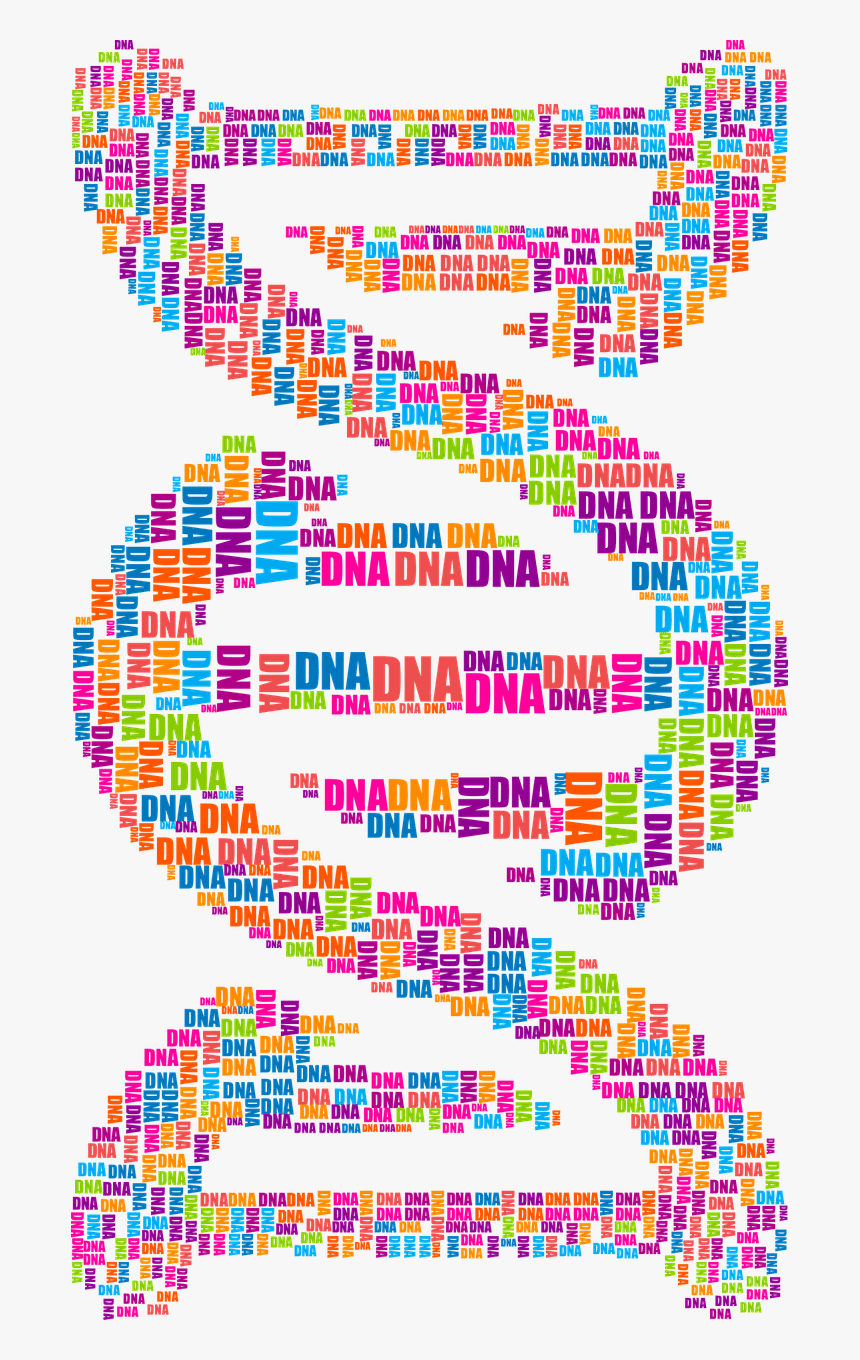 Dna Word Cloud, HD Png Download, Free Download