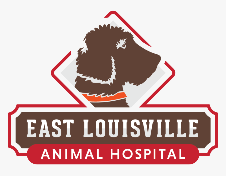 East Louisville Animal Hospital, HD Png Download, Free Download