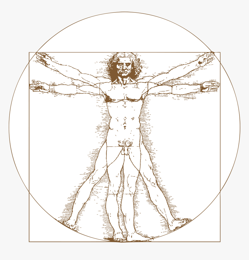 Leonardo Da Vinci Vitruvian Man Tattoo , Png Download - Leonardo Da Vinci Vitruvian Man Png, Transparent Png, Free Download
