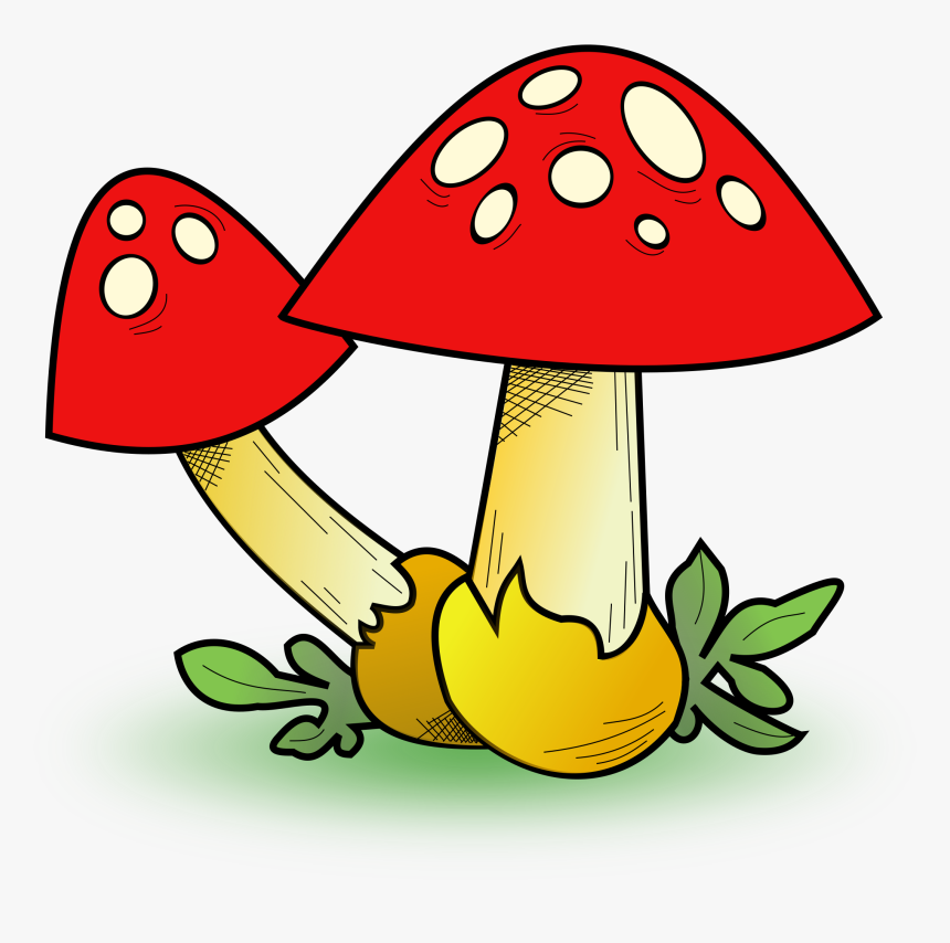 Mushroom Clipart, HD Png Download, Free Download