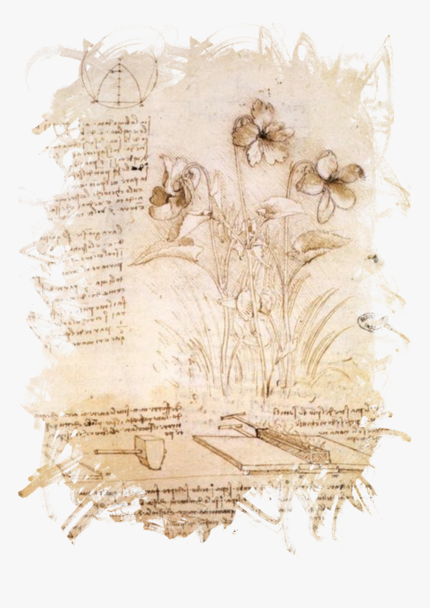 Leonardo Da Vinci Png, Transparent Png, Free Download