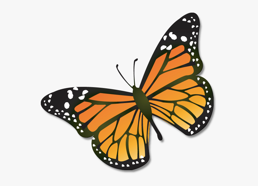 Chrysalis Cliparts - Monarch Butterfly Clipart, HD Png Download, Free Download