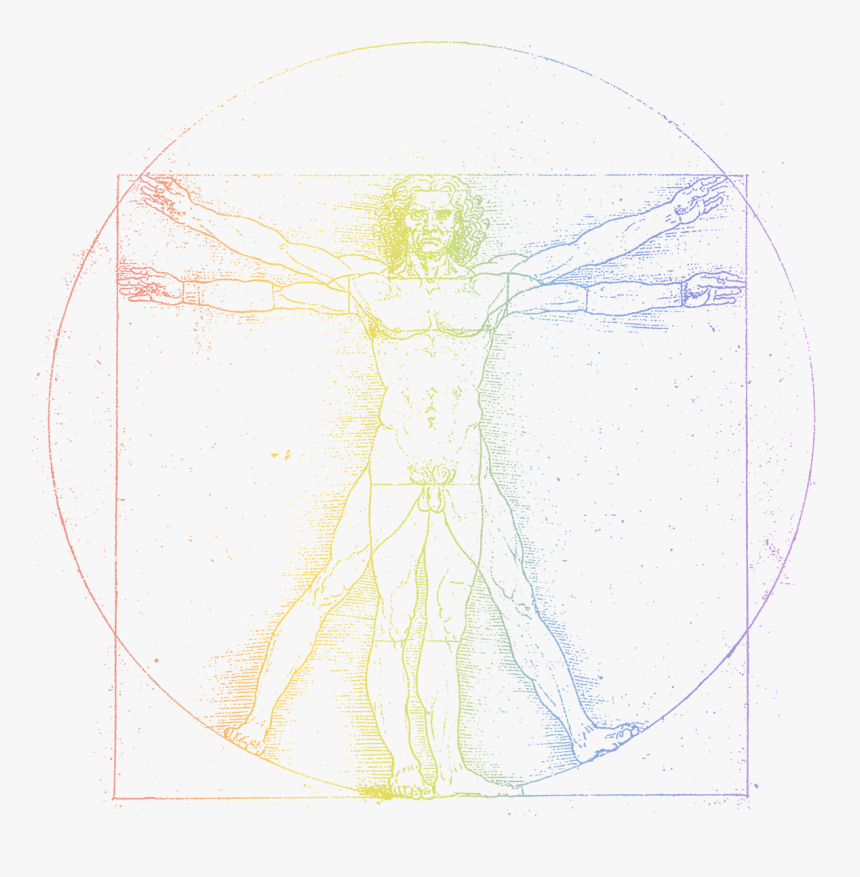 Transparent Vitruvian Man Png - Leonardo Da Vinci, Png Download, Free Download