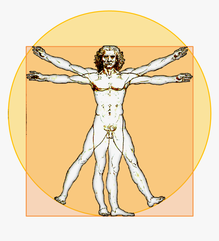 File - Vitruvian-icon - Transparent Vitruvian Man Png, Png Download, Free Download