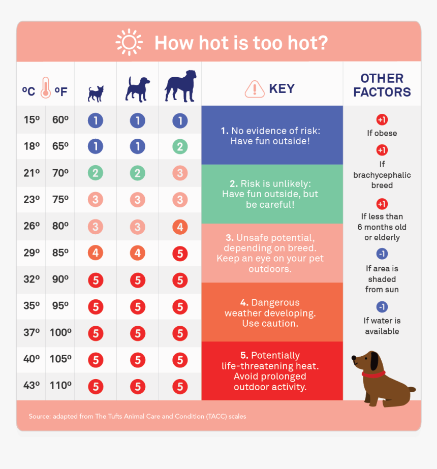 Hot Is Too Hot For Dogs, HD Png Download, Free Download
