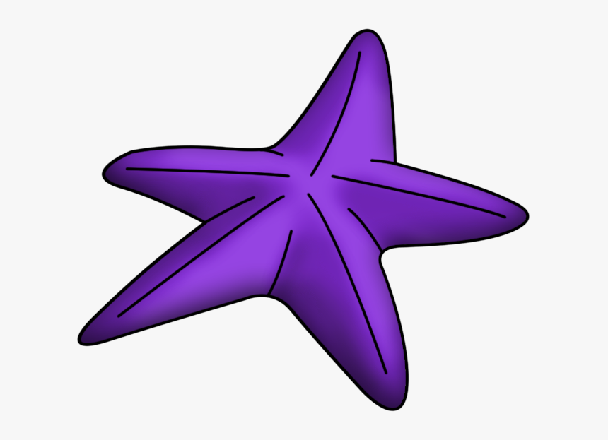 Ampliar Esta Imagen - Estrella De Mar Sirenita, HD Png Download, Free Download