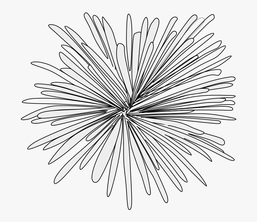 Transparent White Fireworks Png - Line Art, Png Download, Free Download