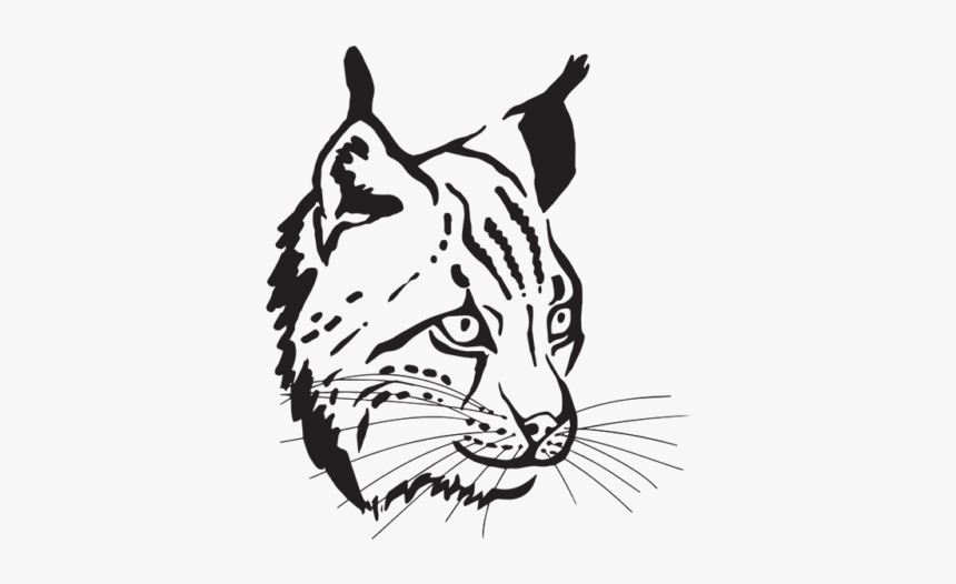 Siberian Tiger, HD Png Download, Free Download