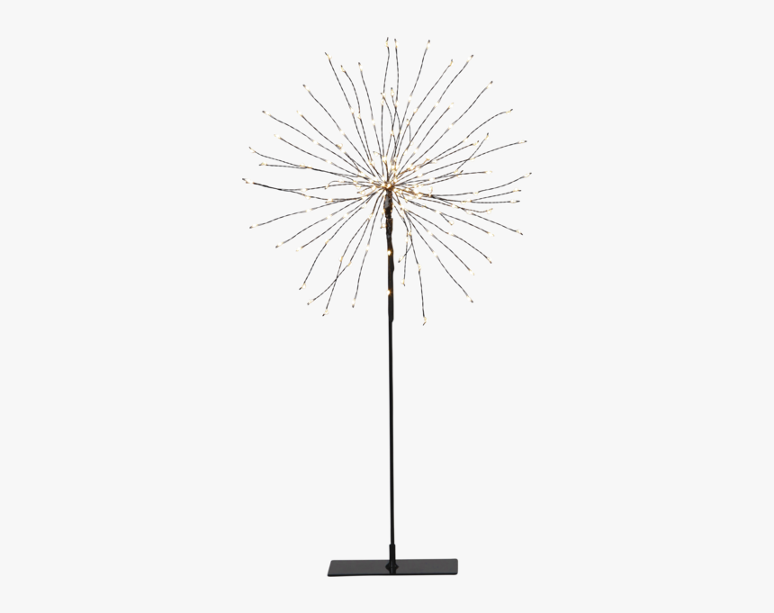 Table Decoration Firework - White Pine, HD Png Download, Free Download