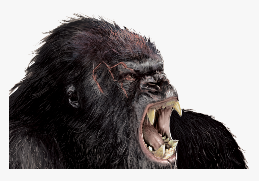 Gorilla Png Transparent Image - King Kong Png Hd, Png Download, Free Download