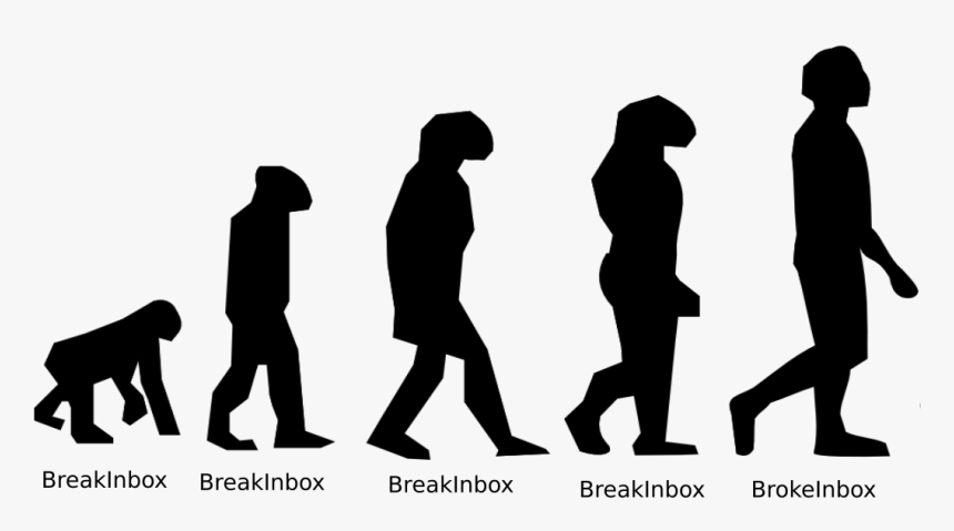 Transparent Gorilla Silhouette Png - Human Evolution Png, Png Download, Free Download