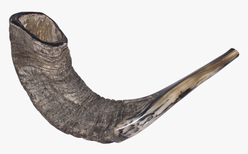 Shofar Png Transparent - Shofar Instrument Of Israel, Png Download, Free Download