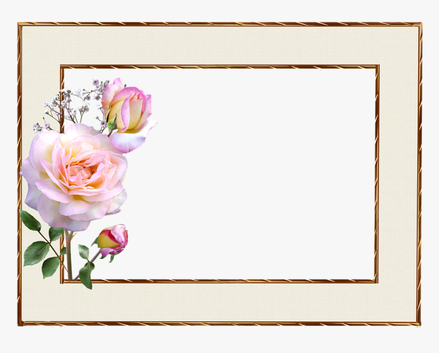 Frame, Gold Edge, Pink Rose, Decoration - Gold And Pink Frame, HD Png Download, Free Download