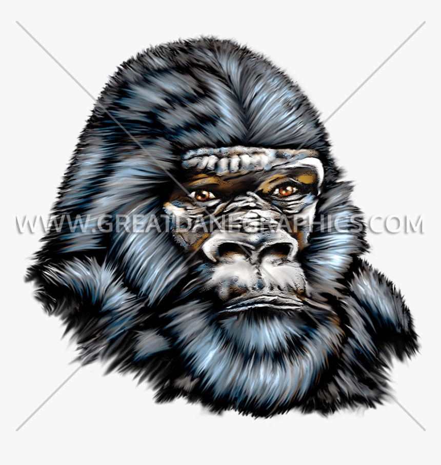 Transparent Gorilla Clipart - Cartoon Silverback Gorilla Stencil, HD Png Download, Free Download