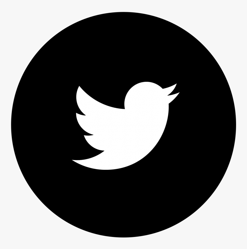 Facebook Twitter Google Plus - Twitter Logo Vector Circle, HD Png Download, Free Download