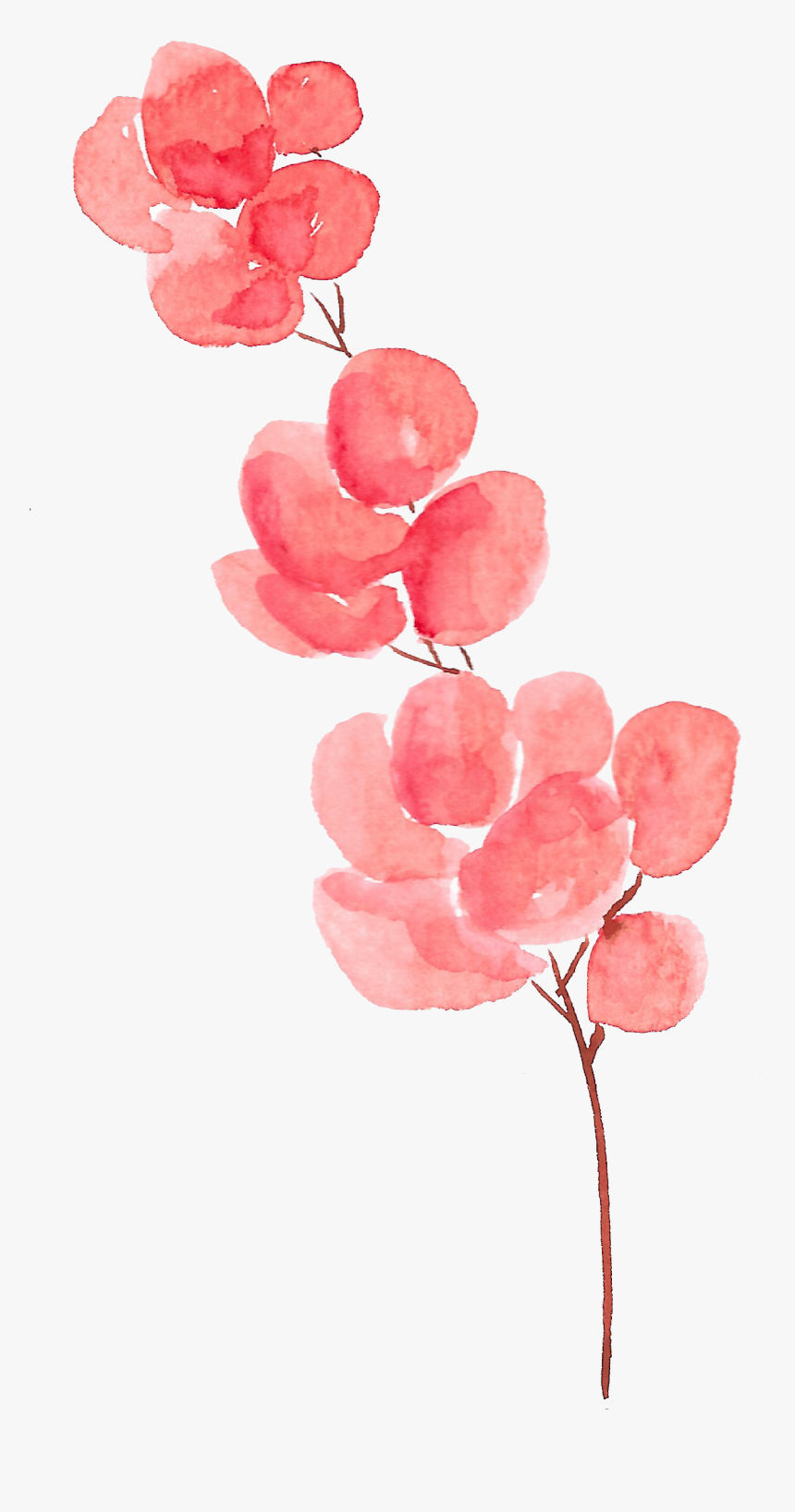 Petal Flower Watercolor Painting - Transparent Background Watercolor Flower Png, Png Download, Free Download