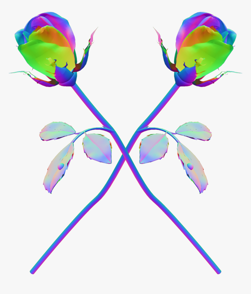 Roses Psychedelic Trippy Rainbow Holographic Tumblr - Transparent Tumblr Trippy, HD Png Download, Free Download