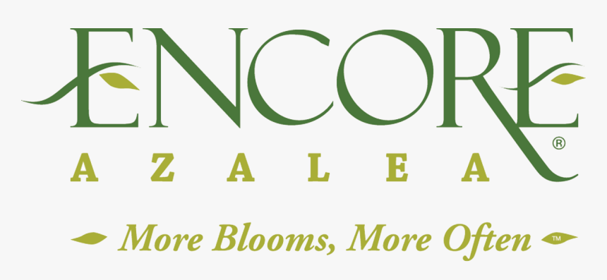 All Encore Azaleas Have Beautiful Flowers, I Have Always - Encore Azaleas Logo, HD Png Download, Free Download