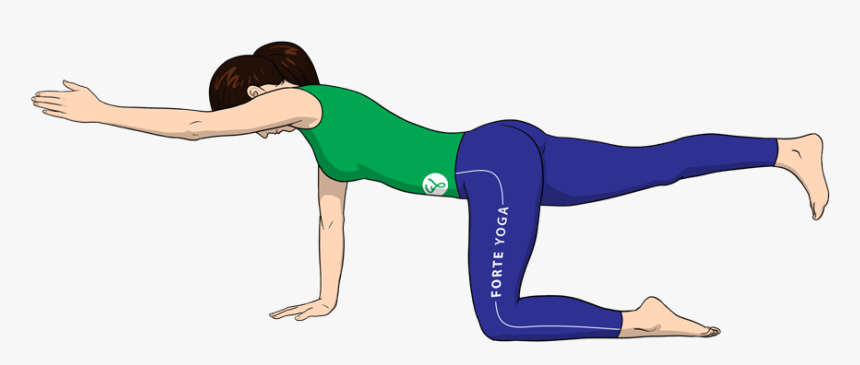 Hands And Knees Balance, HD Png Download, Free Download