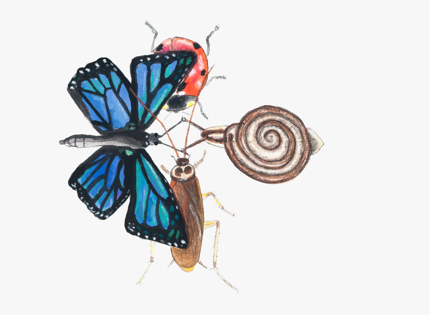 Abrazos - Sketch, HD Png Download, Free Download