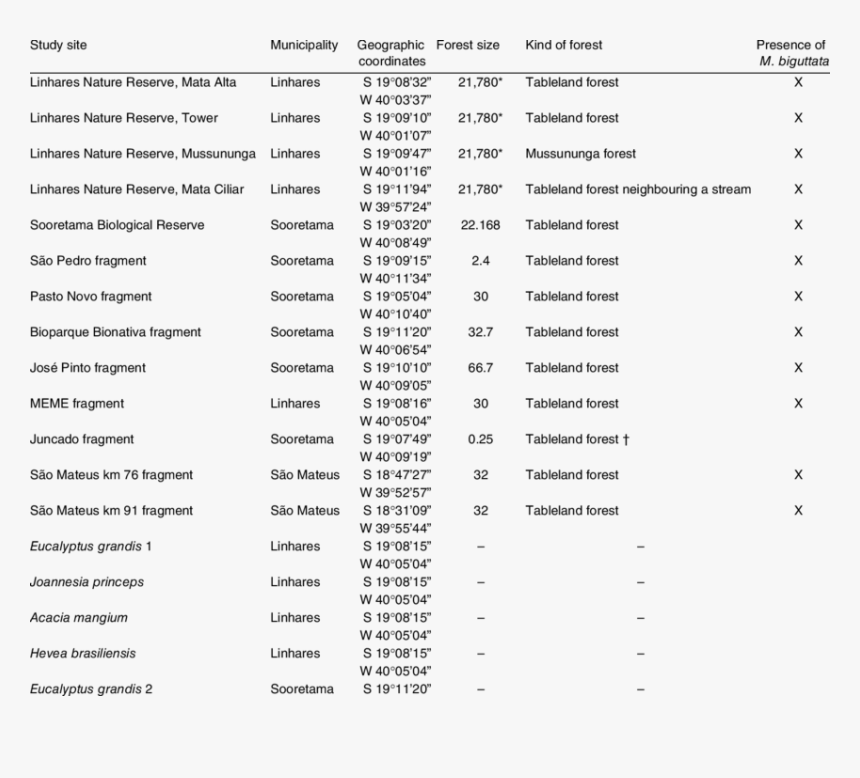 Document, HD Png Download, Free Download