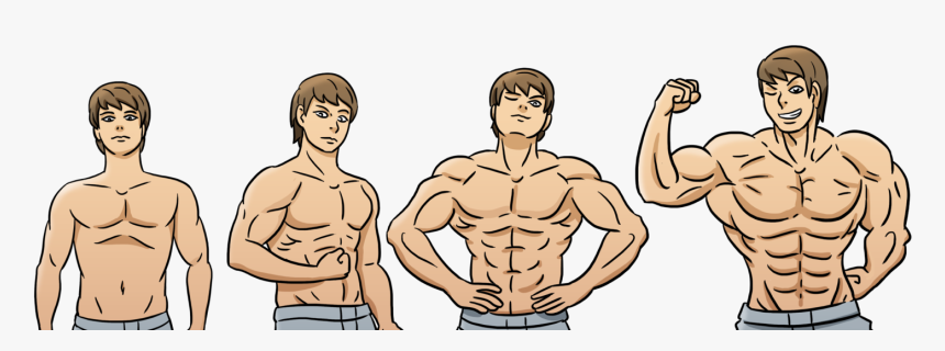 Steroids Before And After Cartoon , Png Download - Big Biceps Workout, Transparent Png, Free Download