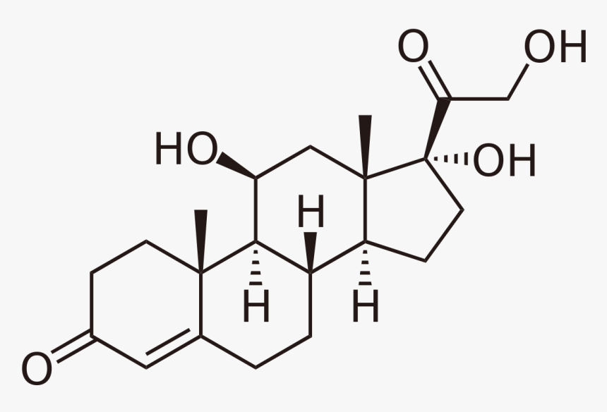 Chemical Reaction For Stress, HD Png Download, Free Download