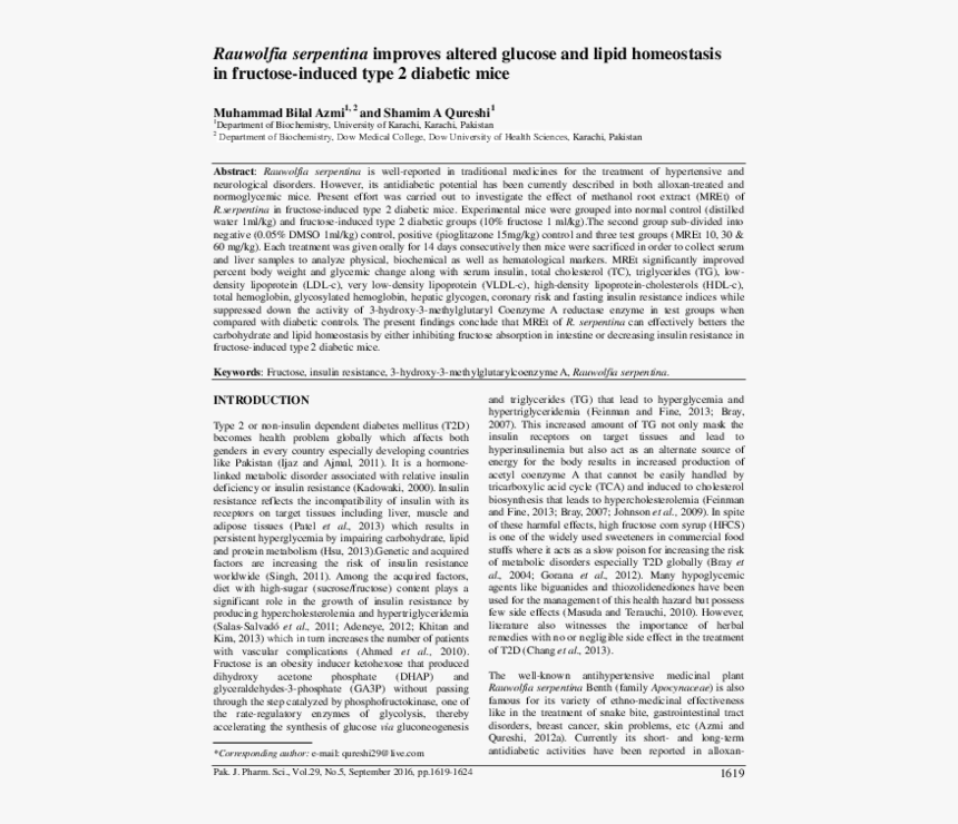 Document, HD Png Download, Free Download