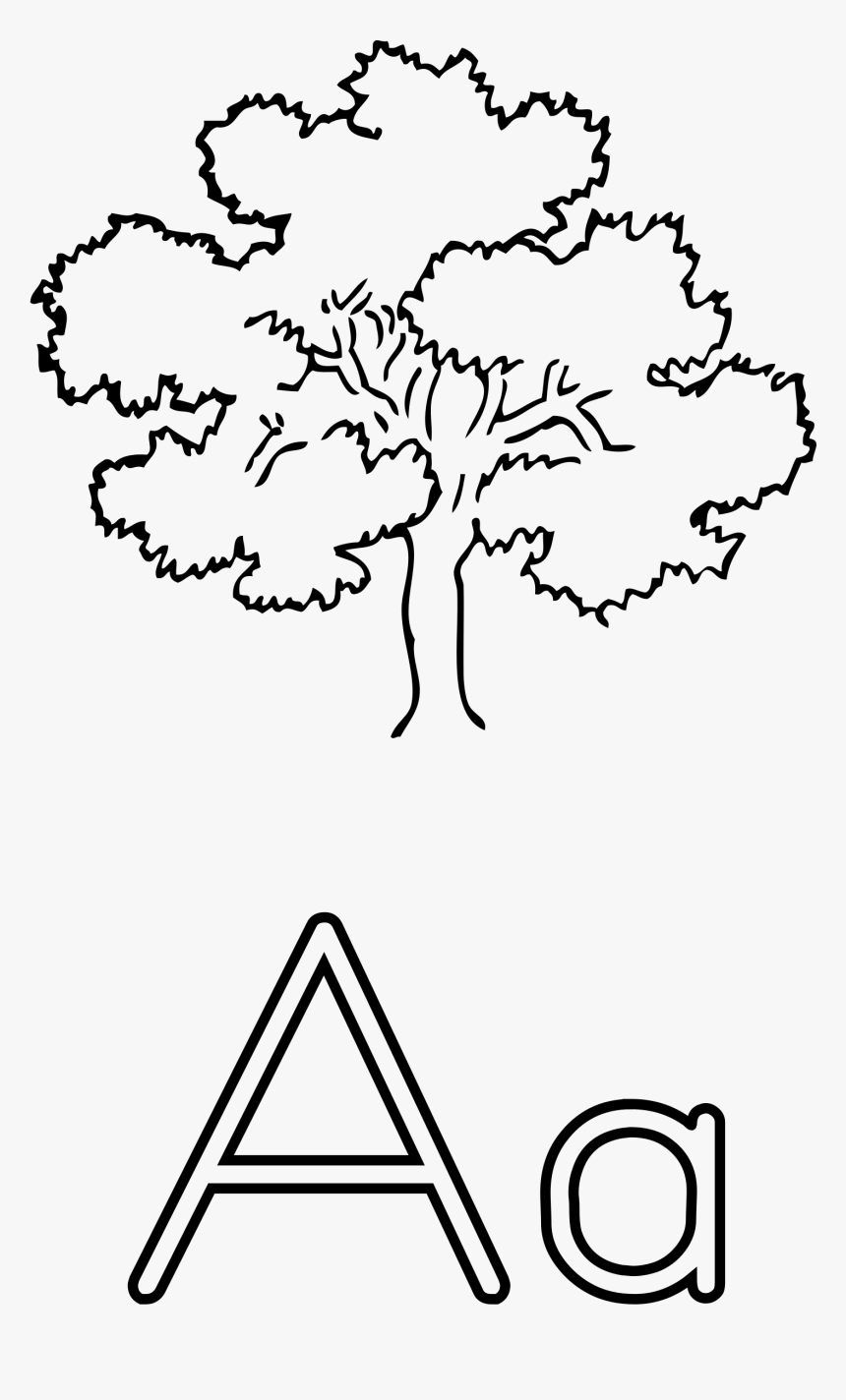 Letra A De Ã¡rbol Clip Arts - Oak Tree Drawing Easy, HD Png Download, Free Download