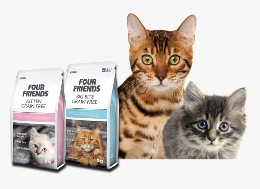 Premium Quality Cat Food - Cat Food Banner Png, Transparent Png, Free Download