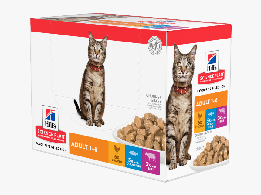 Hills Science Cat Food Wet, HD Png Download, Free Download