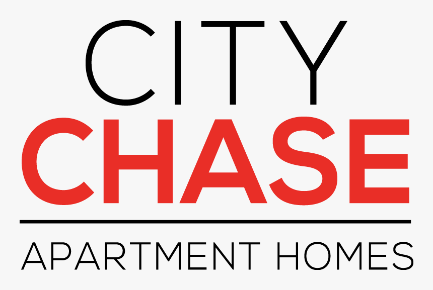 Oval, HD Png Download, Free Download