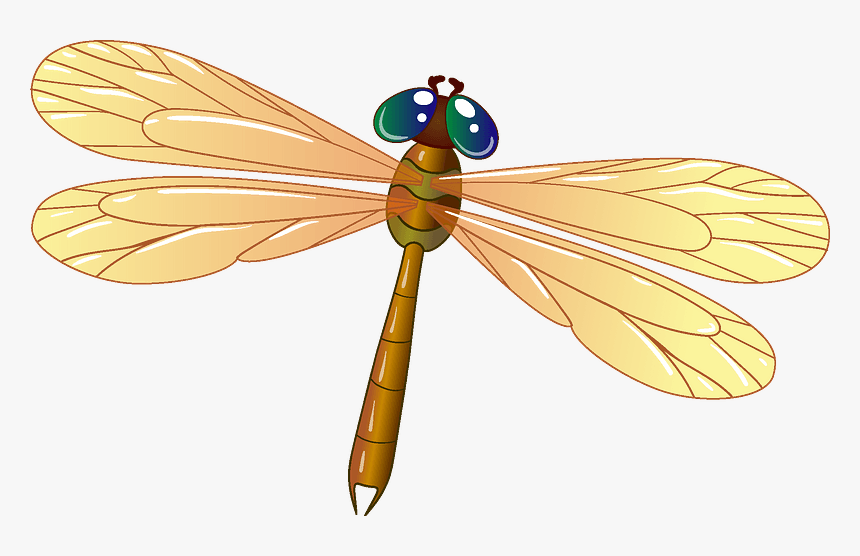 Dragonfly Clipart - Net-winged Insects, HD Png Download, Free Download