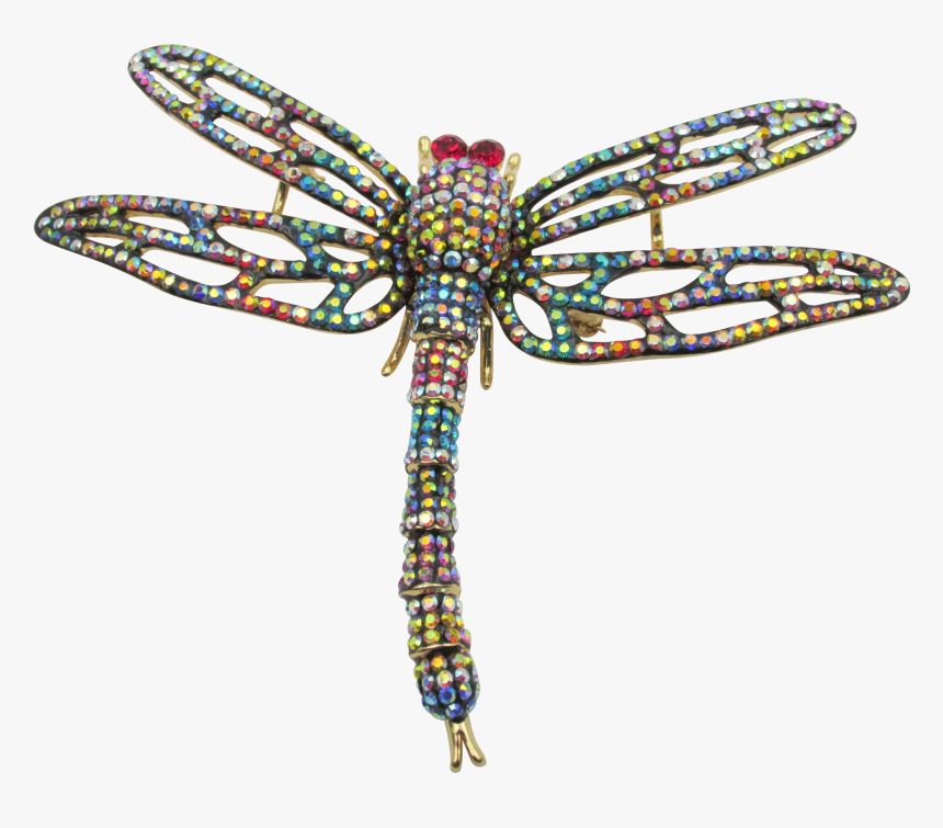 Dragonfly, HD Png Download, Free Download