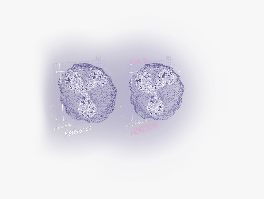Two 3-d Monoclonal Antibodies Showing Biosimilarity - Crochet, HD Png Download, Free Download